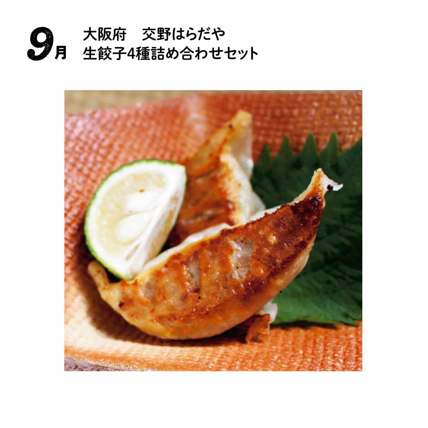 FP産地直送マルシェ|【予約限定・締切7月6日】王道も個性派も大集合！ 全国餃子食べ比べ12ヵ月コース