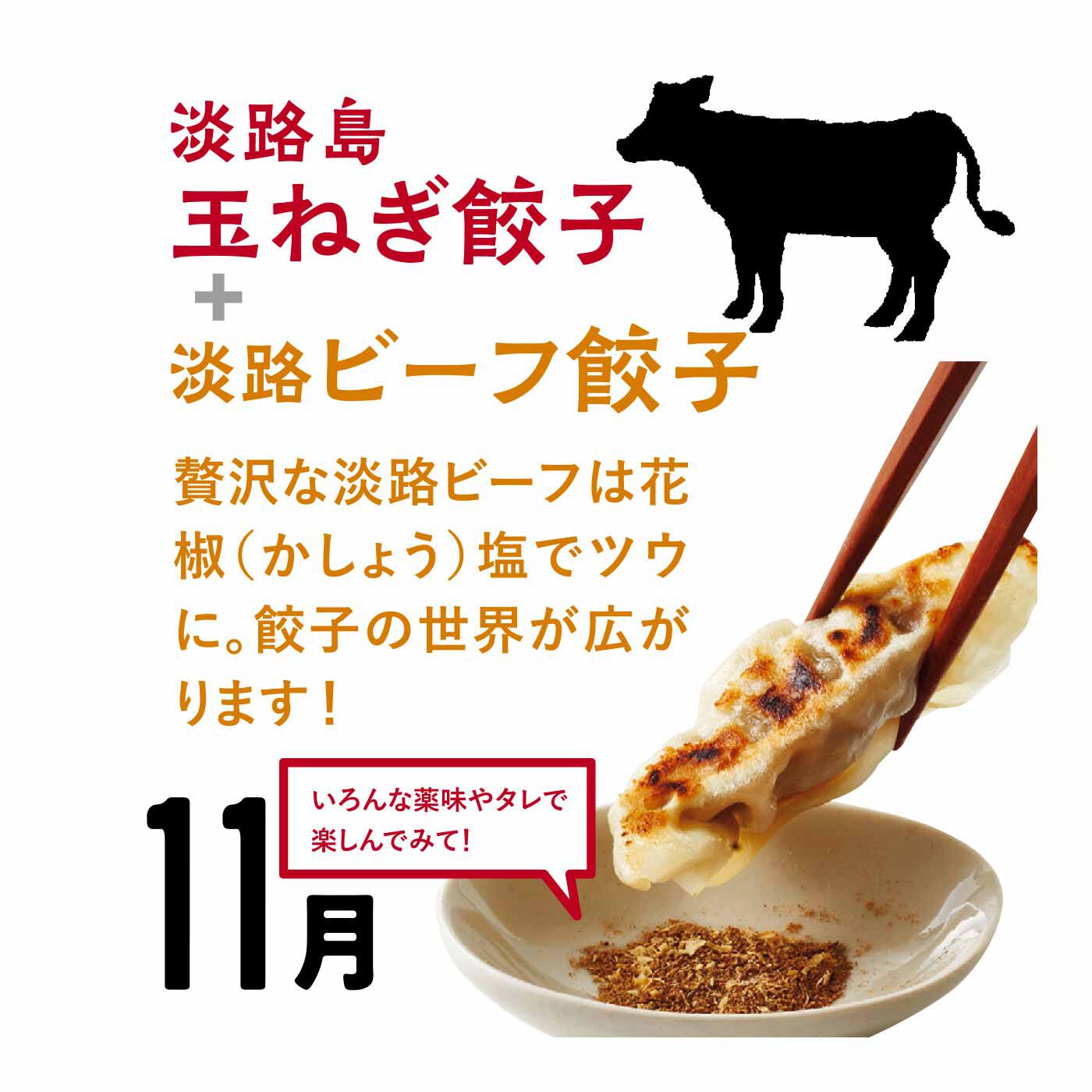 FP産地直送マルシェ|【予約限定・締切6月8日】淡路島の海と大地の恵みをたっぷり包んだやさしいあわじ餃子セット（6ヵ月コース）