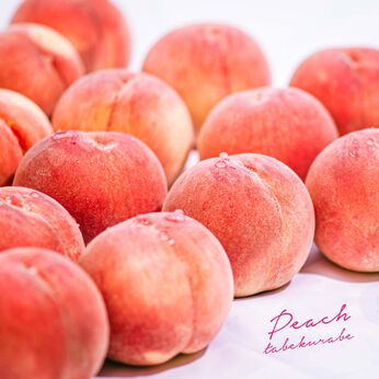 FP産地直送マルシェ | 福島からお届け! 希少品種の桃 食べ比べ 3ヵ月コース