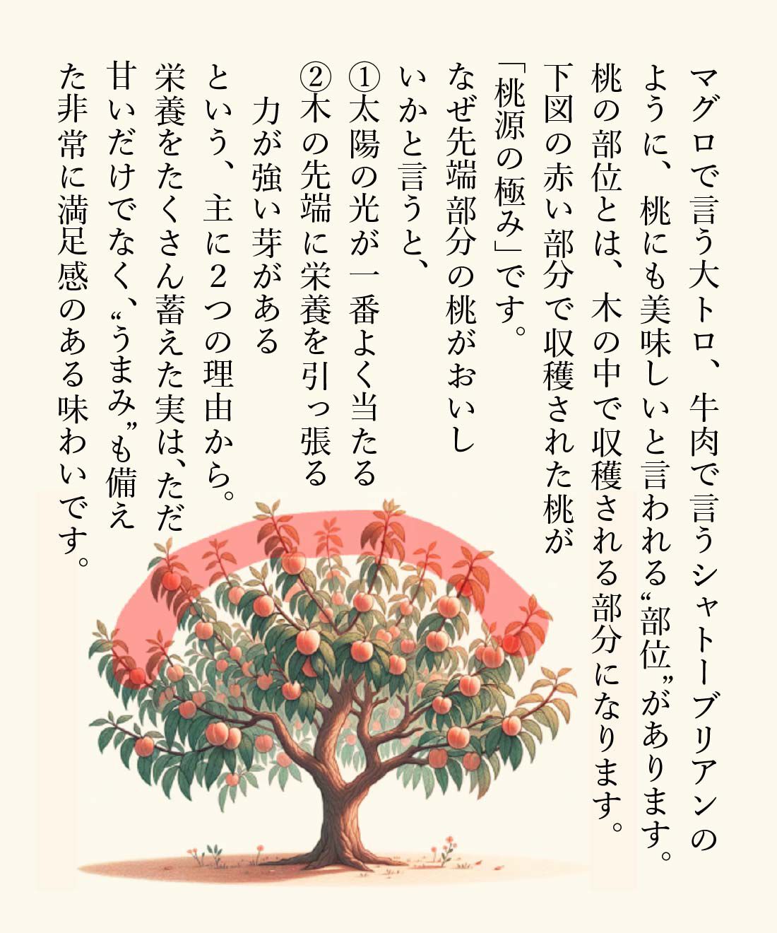FP産地直送マルシェ|【予約限定・締切8月4日】至福のごほうび桃！福島県国見町産　桃源の極み〈川中島白桃〉3玉|最もおいしい部位から収穫されたプレミアムな桃です。