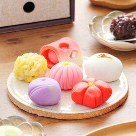 FP産地直送マルシェ | 奈良祥樂 春のしらべ 上生菓子セット 2段ボックス