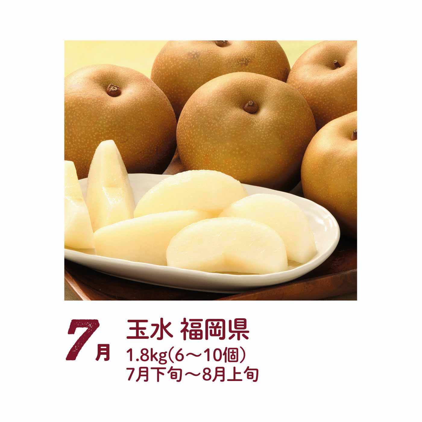 FP産地直送マルシェ|【予約限定・締切7月6日】甘み滴るたっぷり果汁がのどを潤す 品種でめぐる梨の食べ比べ4ヵ月コース
