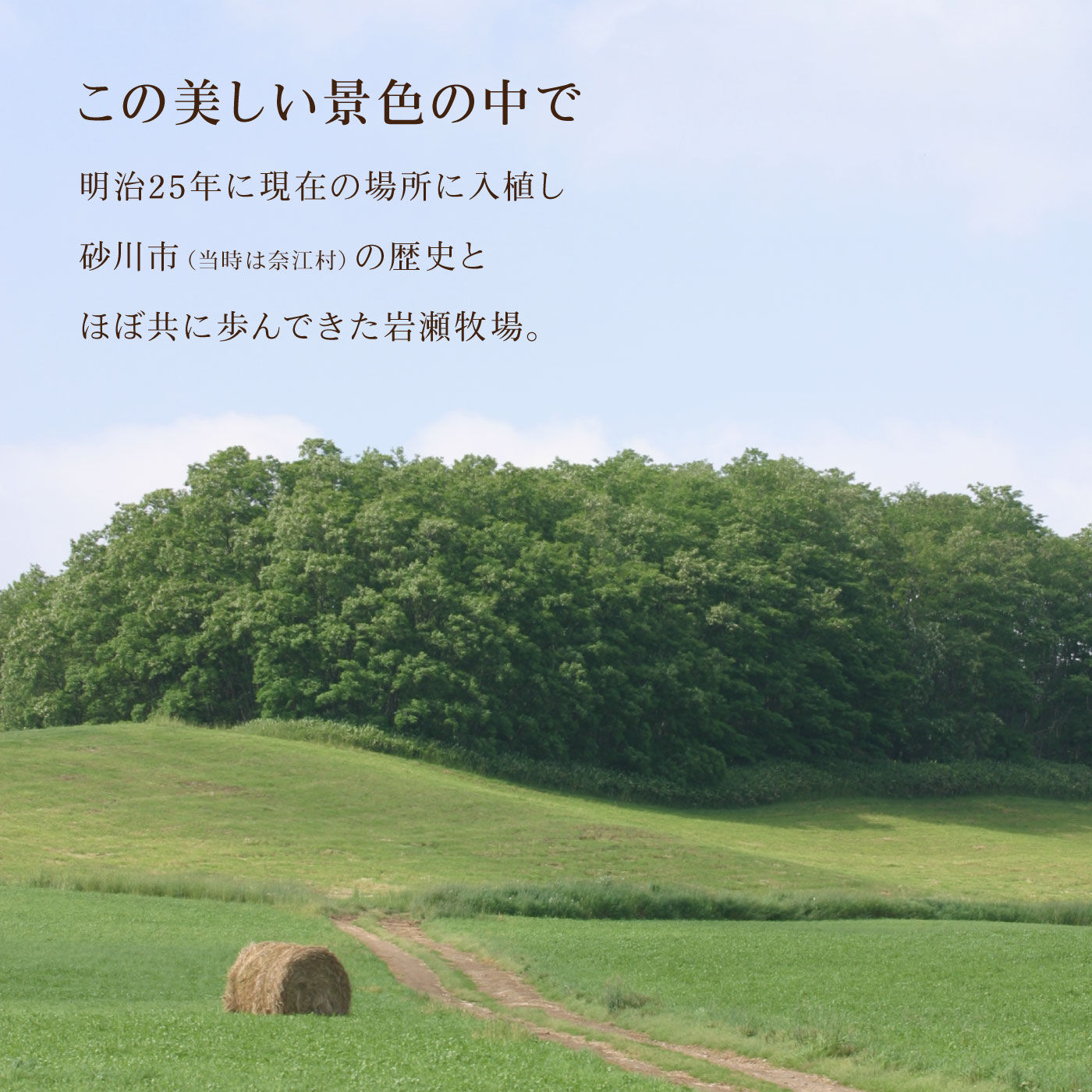 FP産地直送マルシェ|北海道岩瀬牧場　ベイクドチーズケーキ「酪農一番」とVeryBerryレアチーズのセット