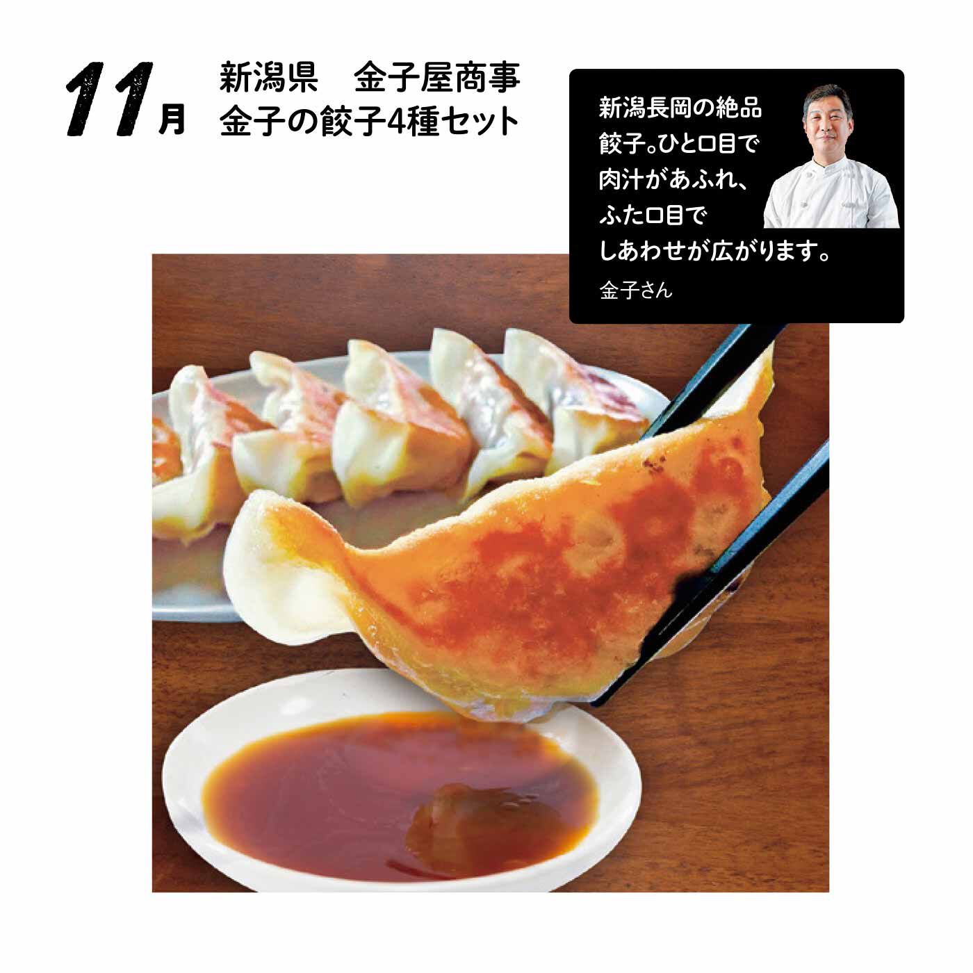 FP産地直送マルシェ|【予約限定・締切7月6日】王道も個性派も大集合！ 全国餃子食べ比べ12ヵ月コース
