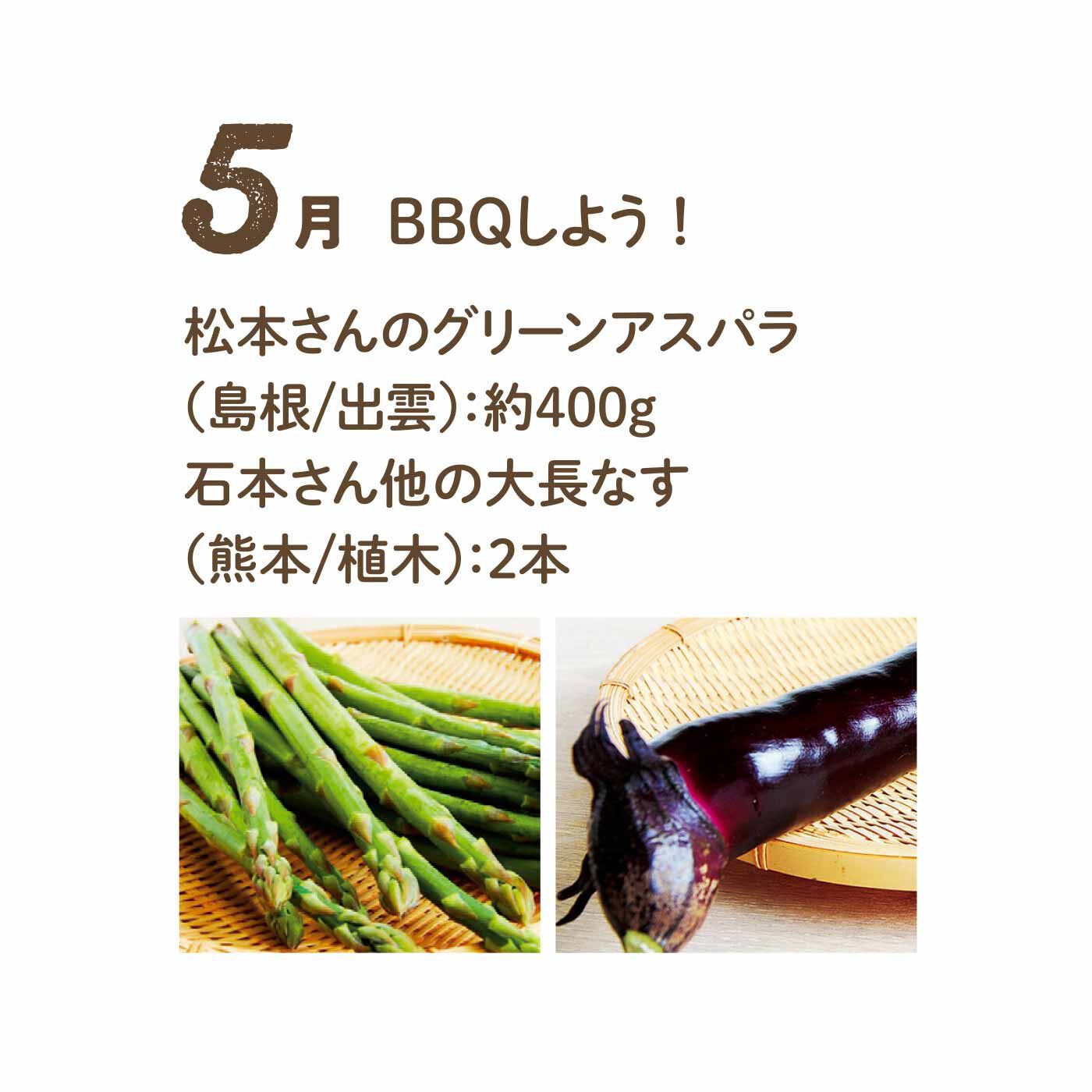 FP産地直送マルシェ|【予約限定・締切6月3日】野菜で彩る1年間！ 24種のごちそうフルーティー野菜12ヵ月コース|生でも食べられるアスパラとびっくりの長さのなす。なすはそのまま丸焼きにするとジューシーに！