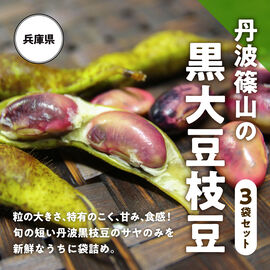 FP産地直送マルシェ | 丹波篠山の 黒大豆 枝豆 500g×3袋セット