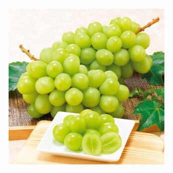 FP産地直送マルシェ | 食べごろシャインマスカット 産地でめぐる 4ヵ月コース