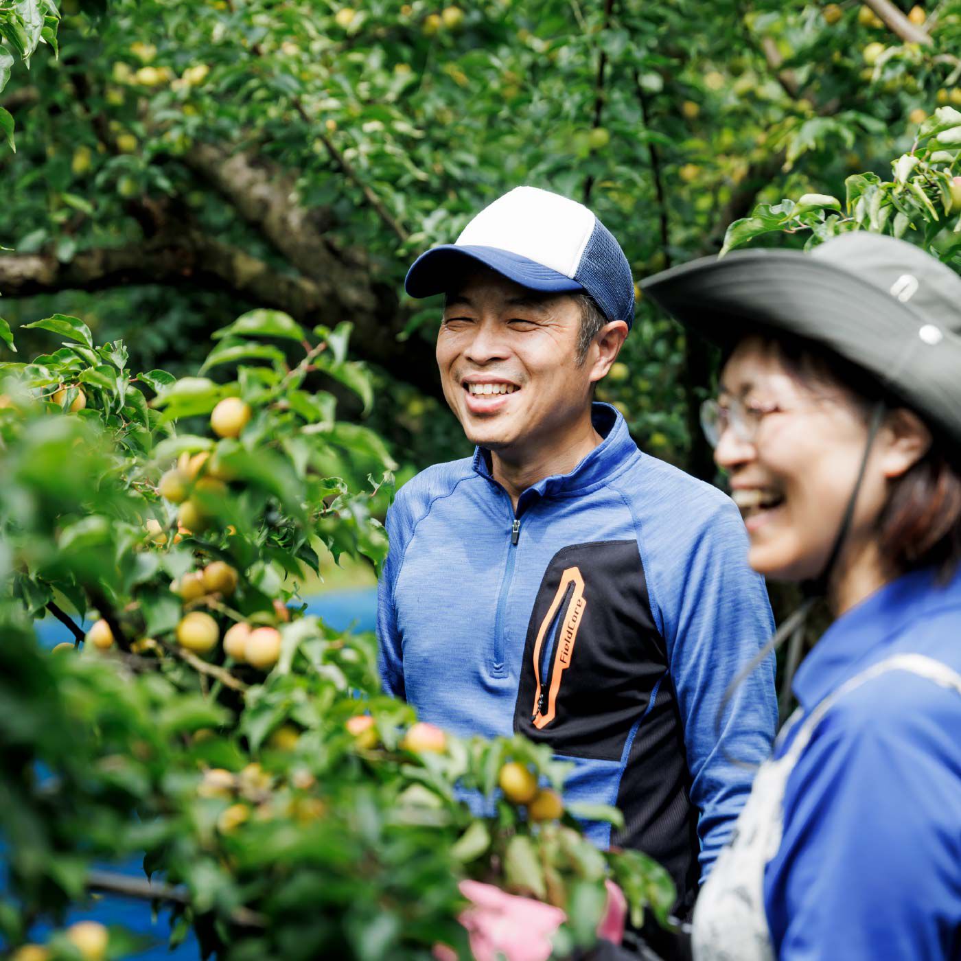 FP産地直送マルシェ|【予約限定・締切6月5日】福井県産 かをり梅 蘭麝（らんじゃ） 完熟1.5kg