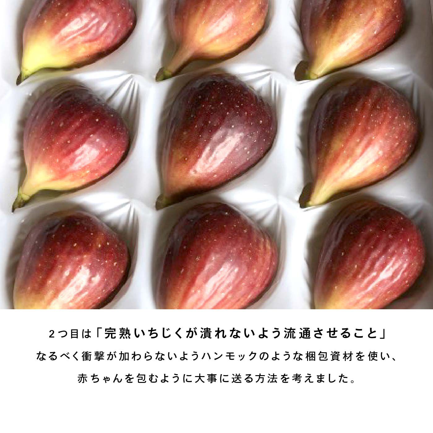 FP産地直送マルシェ|【数量限定100・締切8月7日】AOKI FARM ＆ DELI　樹上で完熟したいちじく