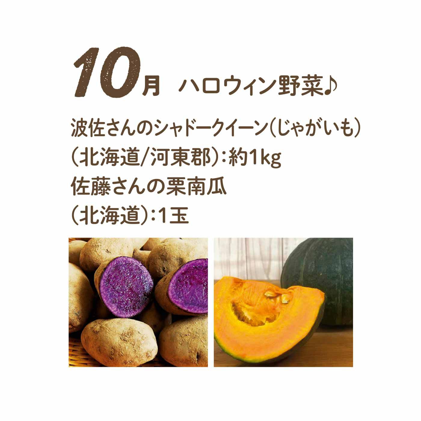 FP産地直送マルシェ|【予約限定・締切6月3日】野菜で彩る1年間！ 24種のごちそうフルーティー野菜12ヵ月コース|中まで鮮やかな紫色のシャドークイーンとほくほく栗南瓜。煮たり、焼いたり、グラタンにしたり。