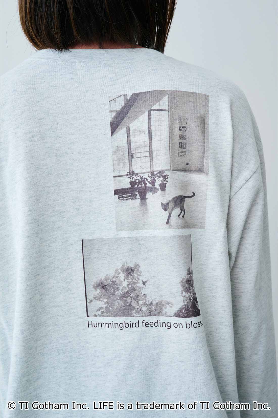 MEDE19F|【MEDE19F】グラフ誌LIFEフォトプリントロングTシャツの会