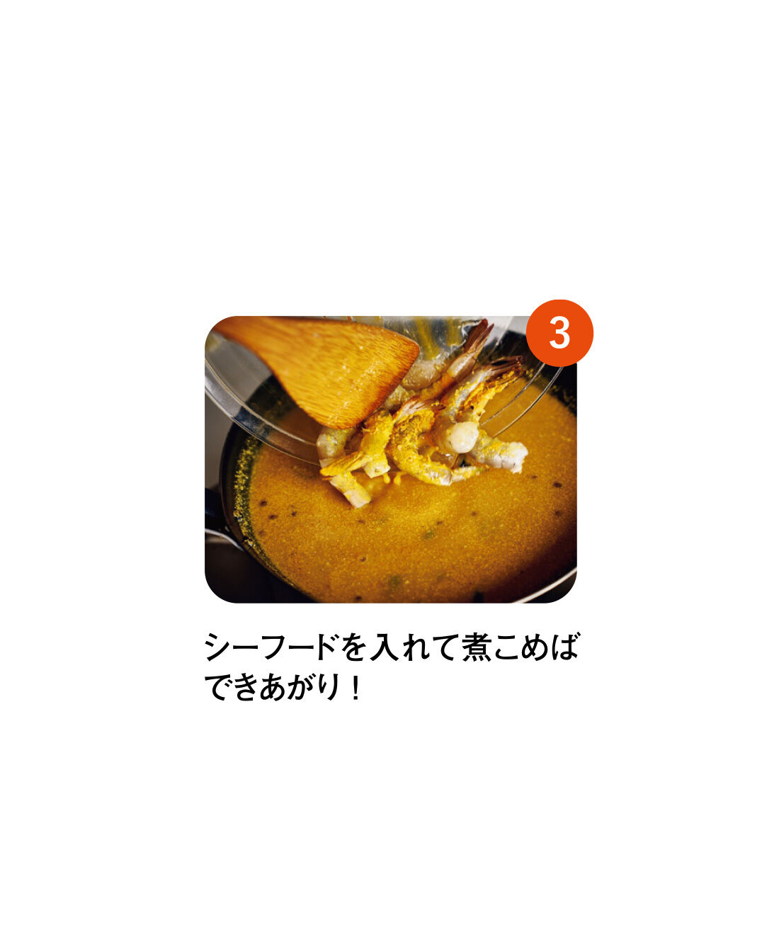 純農|純農 ごはんが進む！ ひと手間がたのしい 本格派カレーの使い切りスパイス カレーブックの会（12回予約）