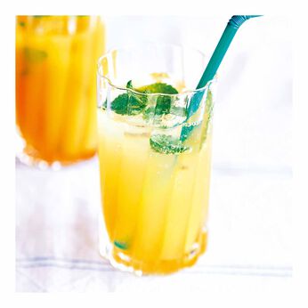 純農 | 国産 柑橘 ジュースアソートの会（12回予約）