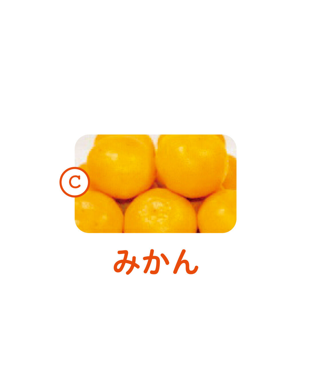 純農|純農 さわやかレモンが仲間入り！ 愛媛産のきらめき 柑橘を味くらべ 飲むゼリーアソートの会（12回予約）|温暖な気候で育った愛媛県のみかんのおいしさをそのまま閉じ込めました。