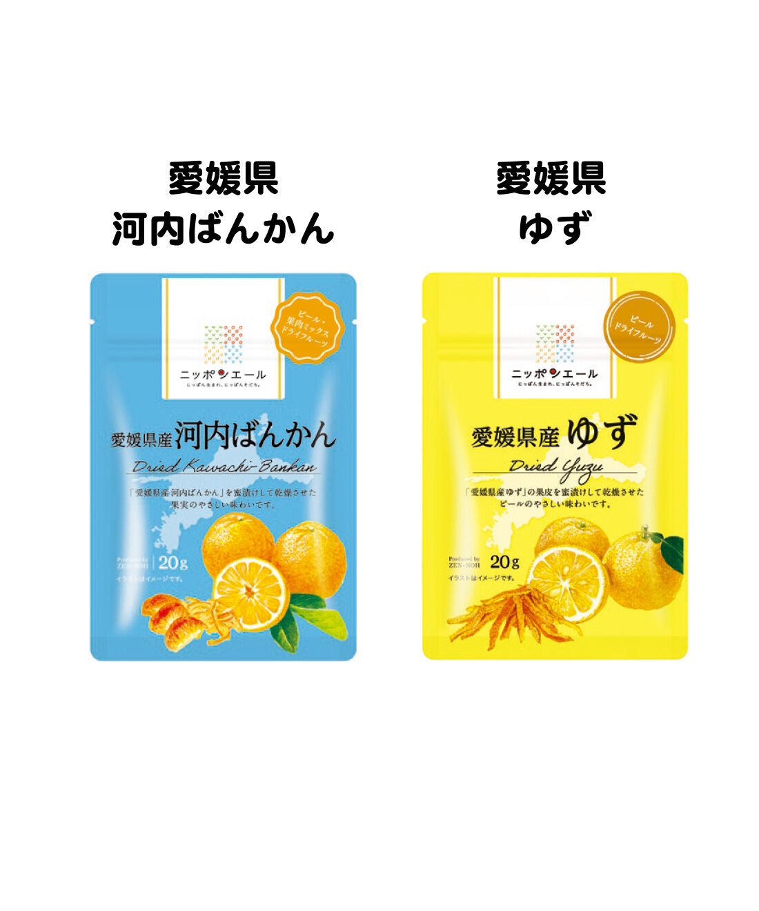 純農|純農 ニッポンエール 初夏からのリフレッシュに！ 国産果実のドライフルーツの会（12回予約）