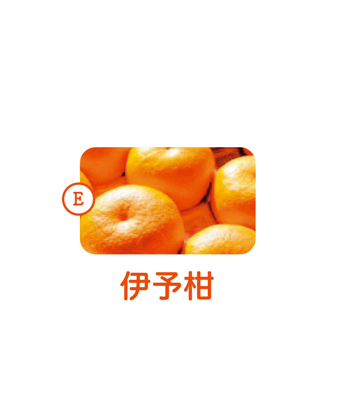 純農|純農 さわやかレモンが仲間入り！ 愛媛産のきらめき 柑橘を味くらべ 飲むゼリーアソートの会（6回予約）|「色よし・味よし・香りよし」の三拍子そろったバランスのよい柑橘。