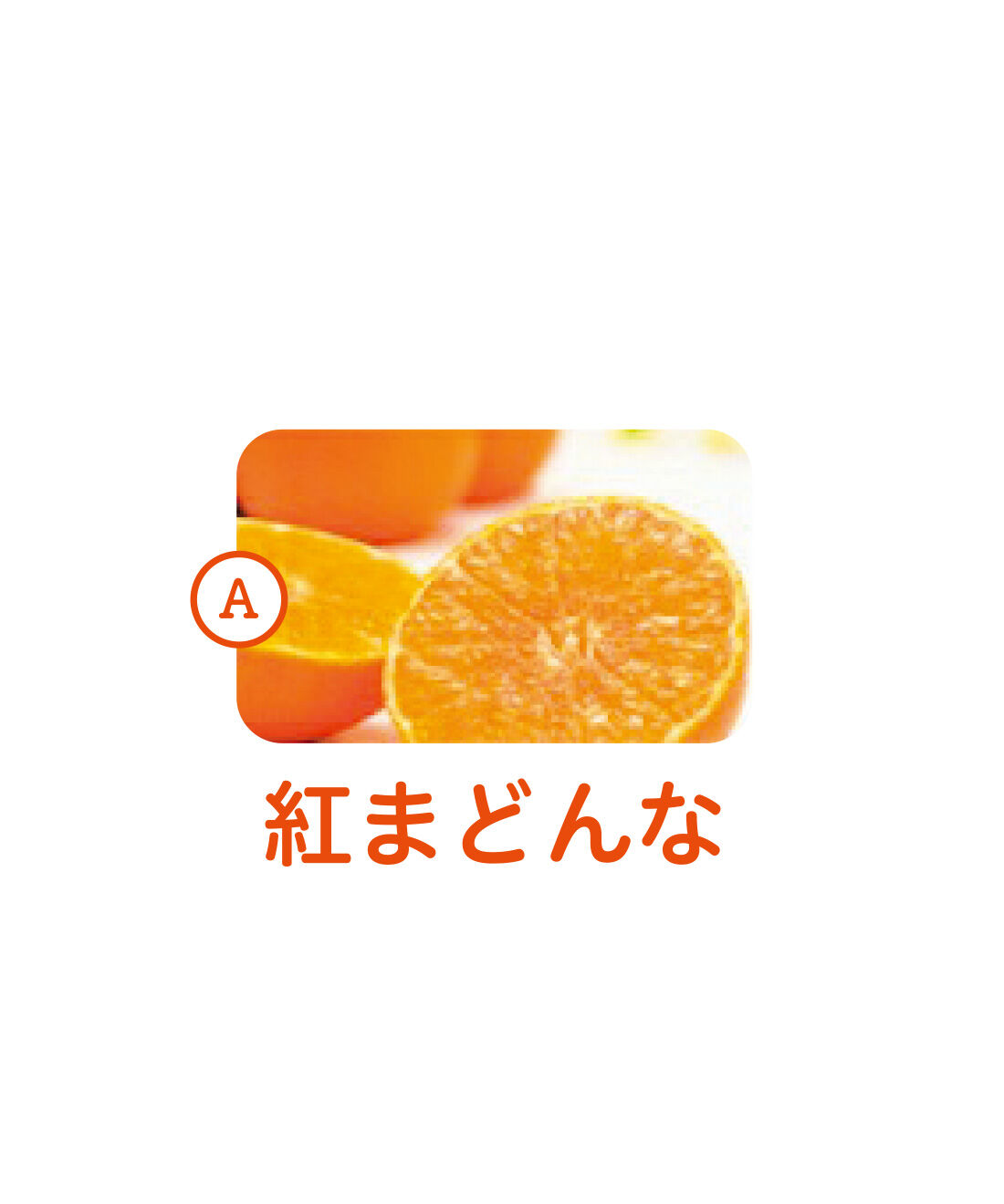 純農|純農 さわやかレモンが仲間入り！ 愛媛産のきらめき 柑橘を味くらべ 飲むゼリーアソートの会（12回予約）|愛媛県で生まれた「紅まどんな」。濃厚な甘みとやさしい酸味にうっとり。