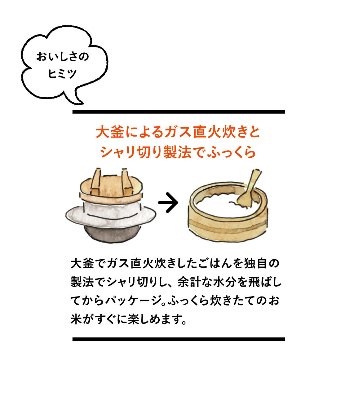 純農|純農 ガス直火炊きのおいしさ！ 県産ブランド米と全農セレクト米　農協パックごはんめぐり（6食セット）の会（12回予約）