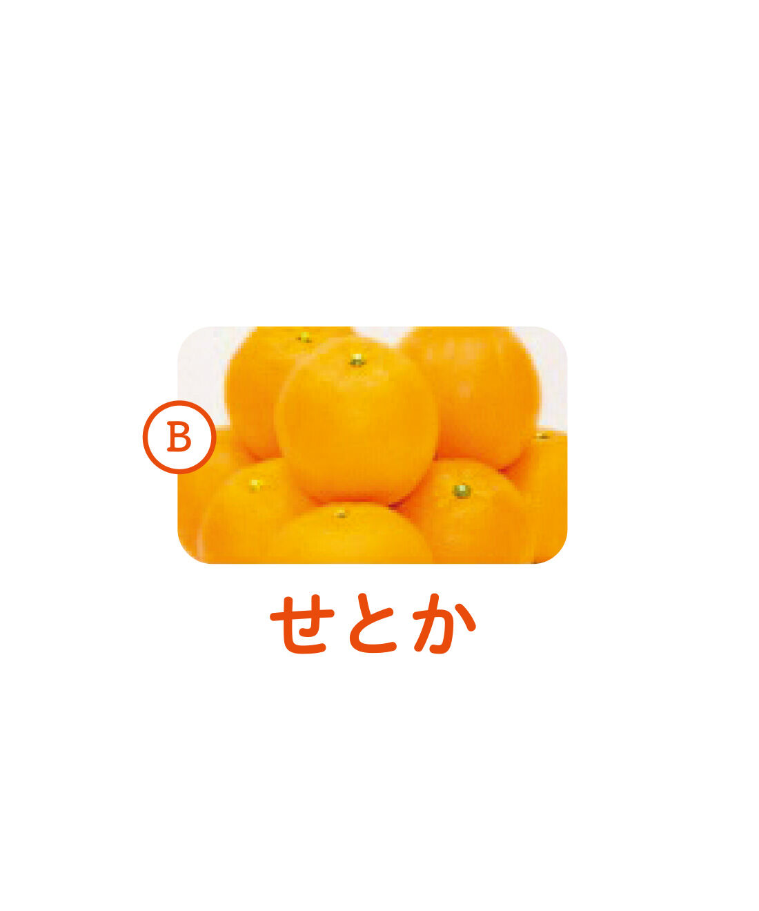 純農|純農 さわやかレモンが仲間入り！ 愛媛産のきらめき 柑橘を味くらべ 飲むゼリーアソートの会（6回予約）|とろけるような食感。魅力的な香りと濃厚な甘みが味わえます。