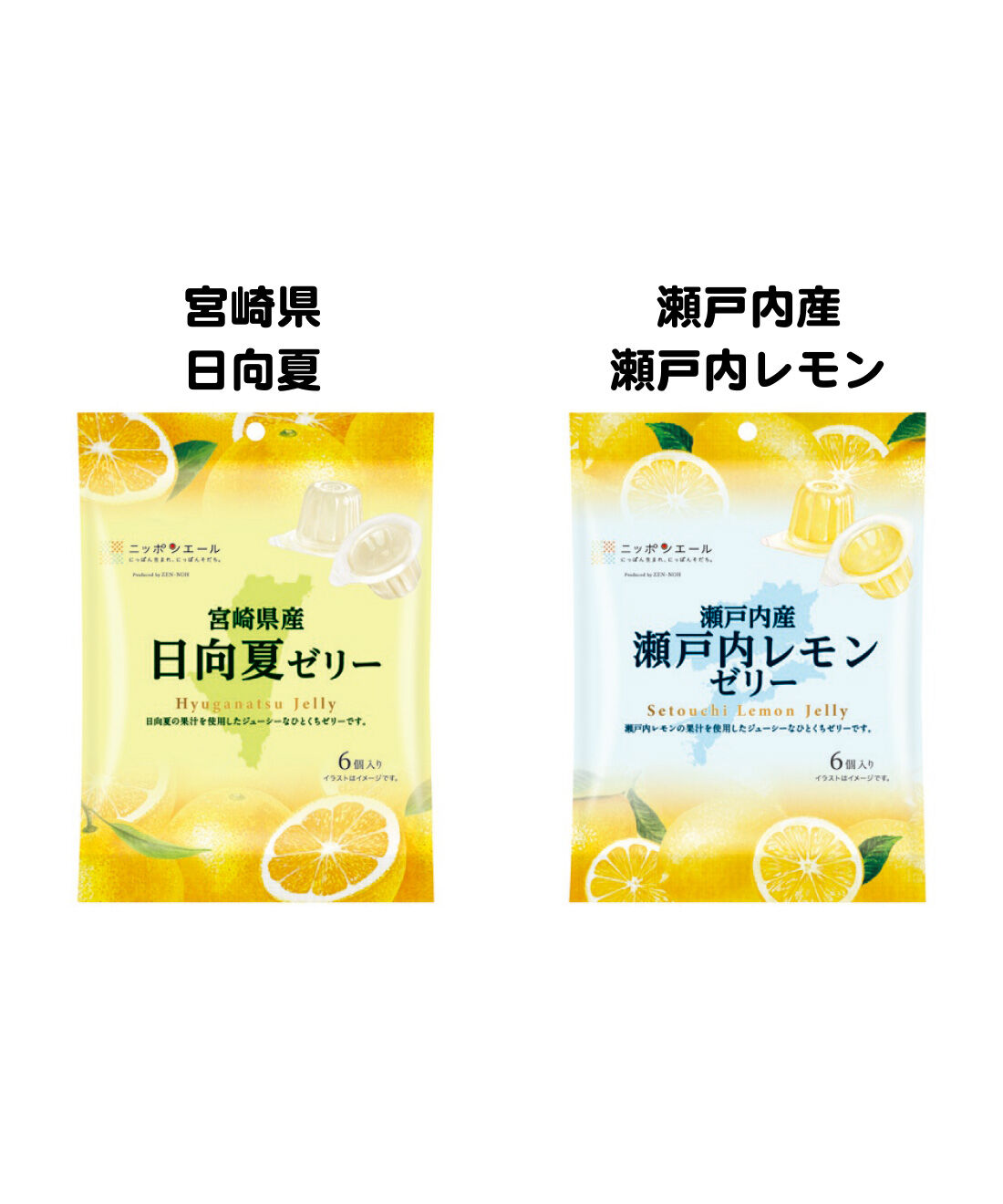 純農|純農 ニッポンエール 夏の食感♪ 県産果物を楽しむ 一口サイズのたっぷりぷるるんミニゼリーの会（3回予約）