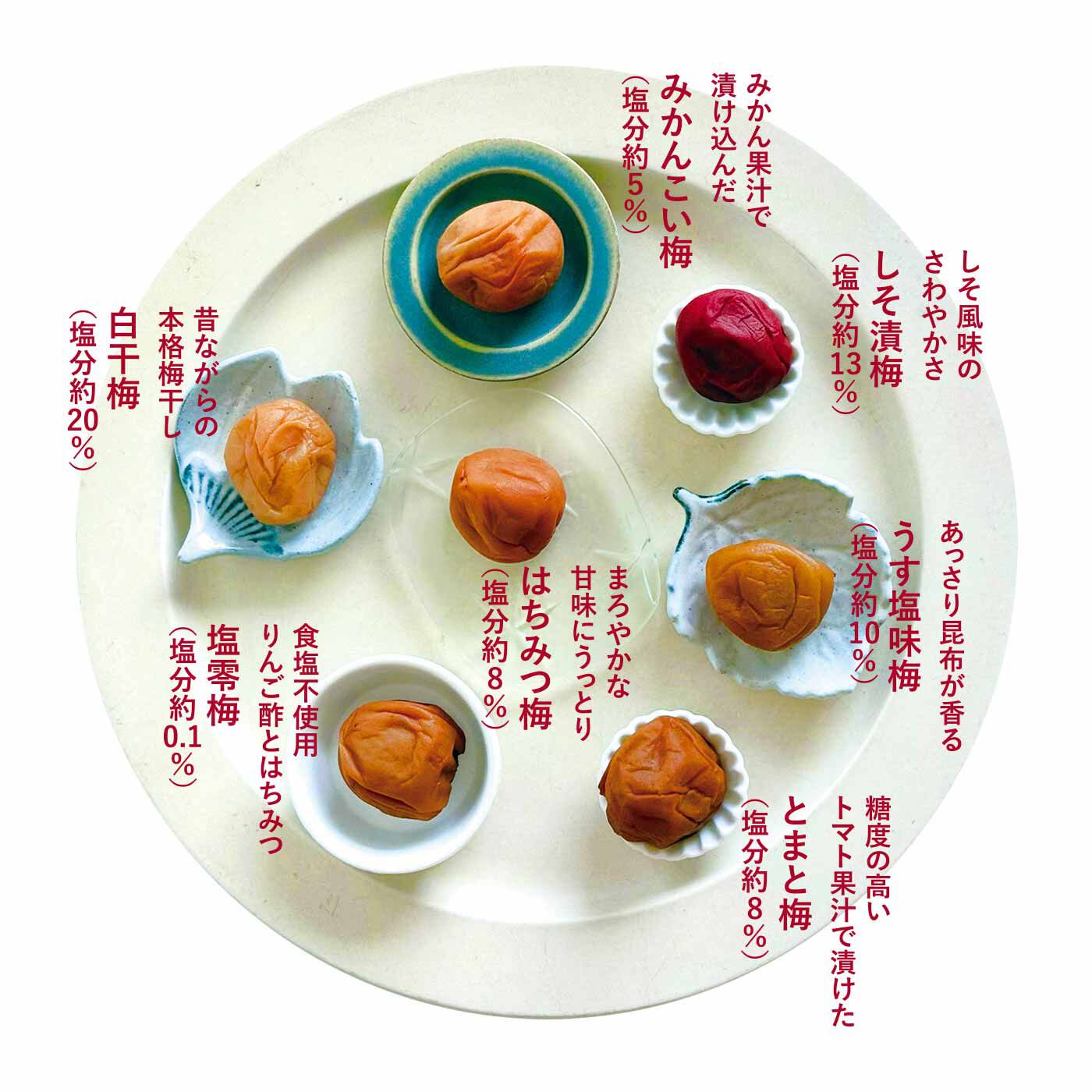 純農|純農 夏の携帯梅干し♪ 7種の味が楽しい テトラパックの1 粒紀州梅干しセットの会 たっぷりお徳用月14個コース（4回予約）
