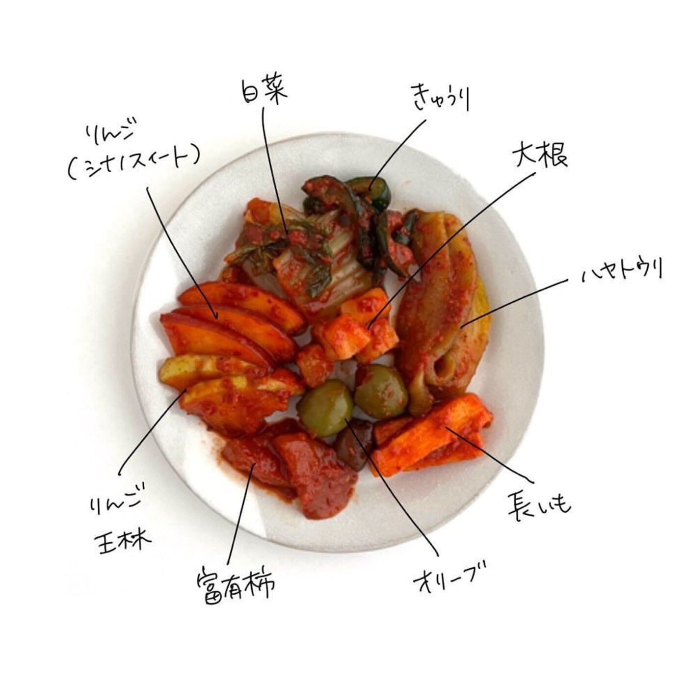 Natucul Chou Club|キムチスターターキット　おけいこキムチ＜KIMCHI＞|こちらが、キムチに漬け込んでみた材料。地域の野菜を漬けてみるのもおもしろい！おいしいタレでいろいろ試してみてください。