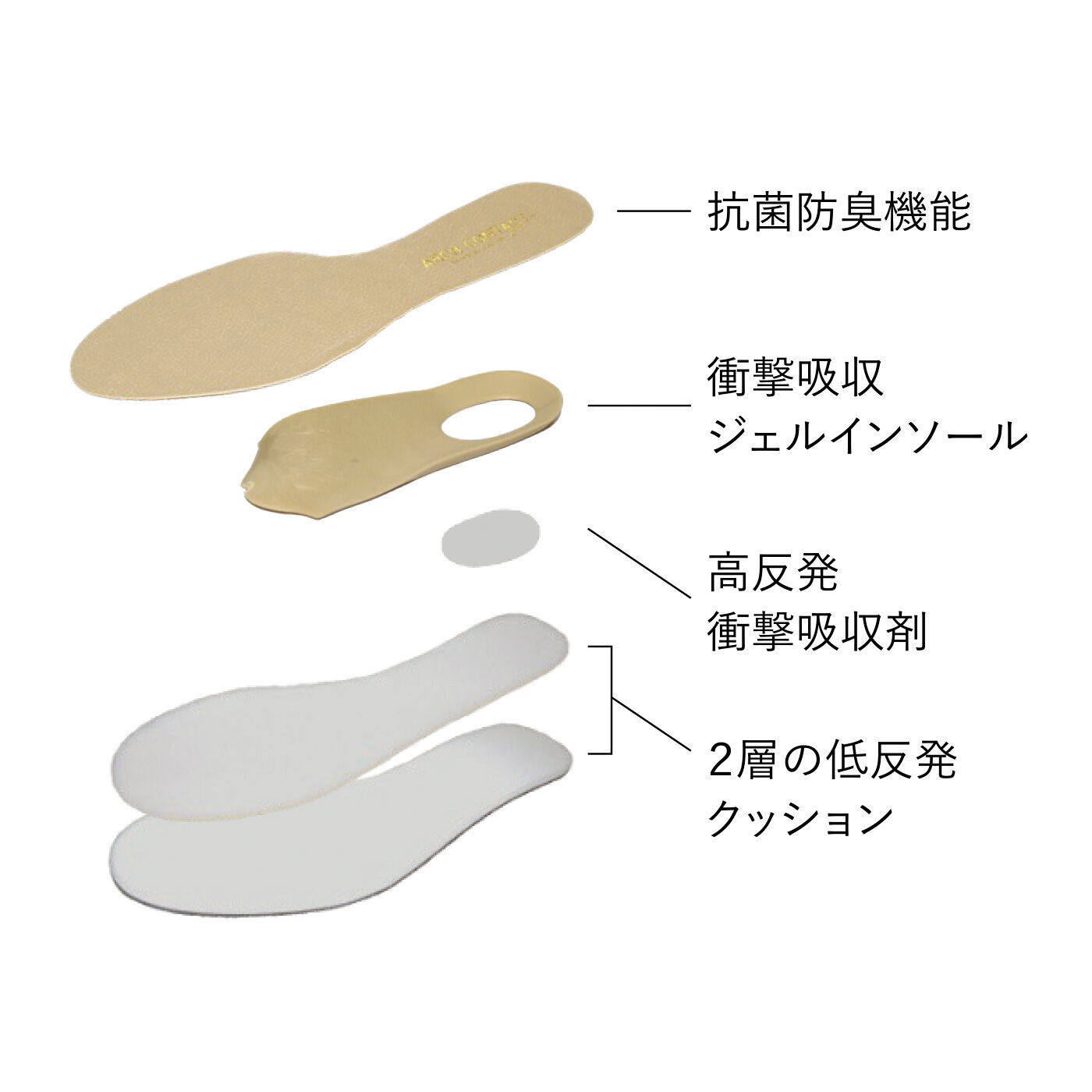 L'AMIPLUS|ラミプリュス かかと高め仕立てでもっちりフィット 走りたくなる吸い付くパンプスの会