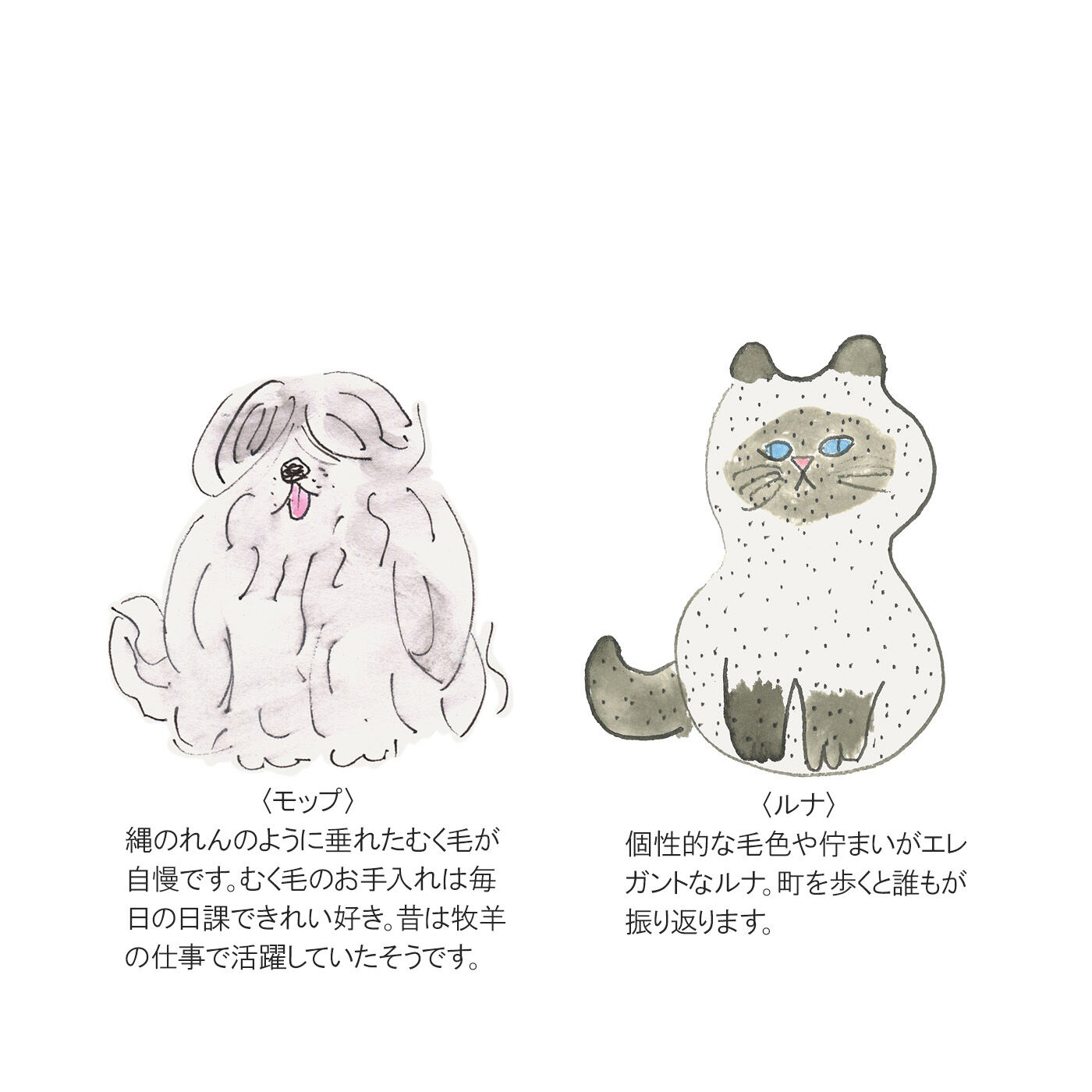 L'AMIPLUS［ラミプリュス］|幸生窯×ラミプリュス なでなでしたくなる ふわふわモール糸のわんにゃんソックスの会