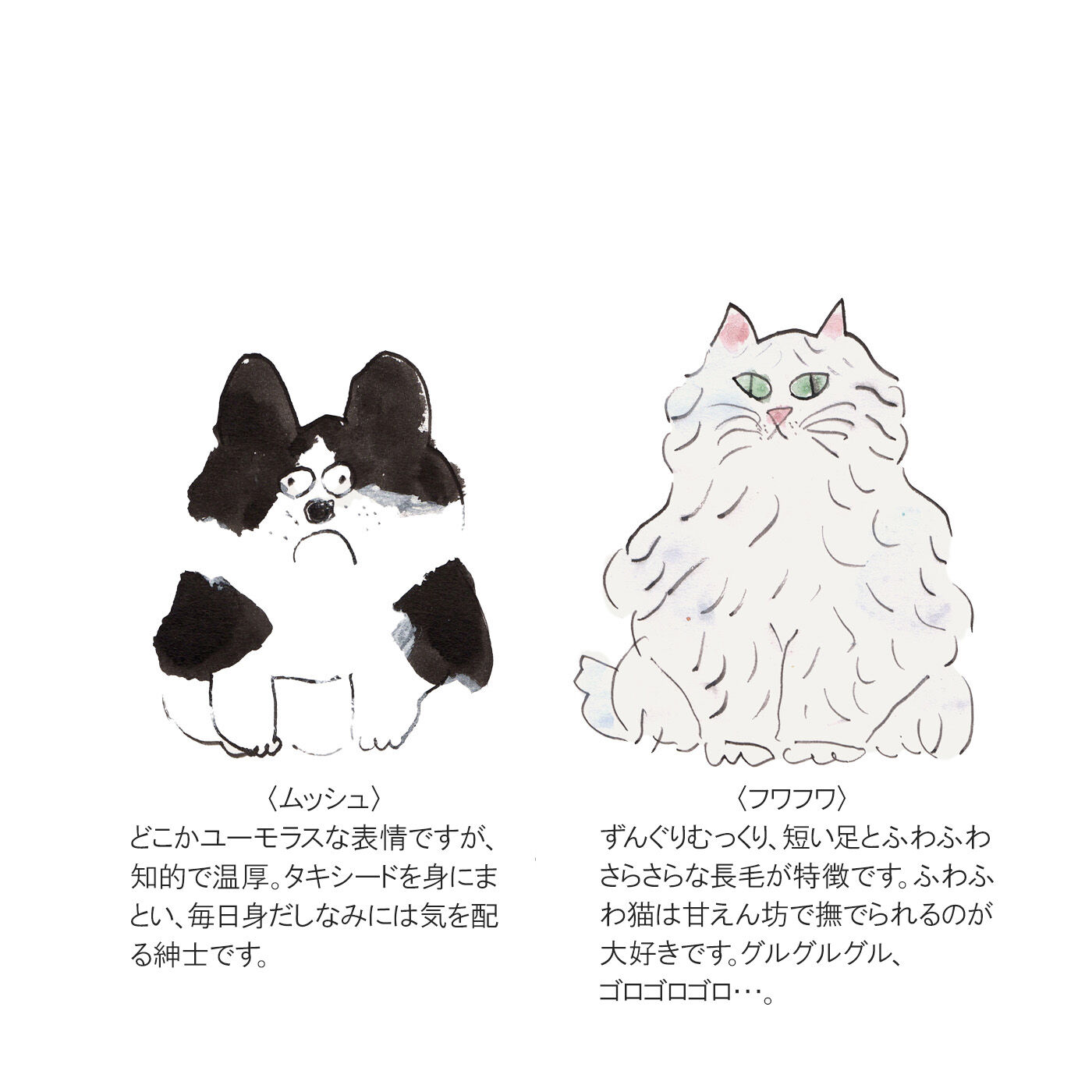 L'AMIPLUS［ラミプリュス］|幸生窯×ラミプリュス 一緒におでかけ しゅるっと伸びる わんにゃんリールキーカバーの会