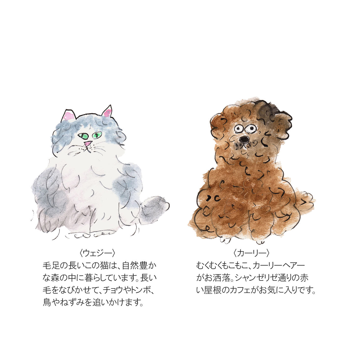 L'AMIPLUS［ラミプリュス］|幸生窯×ラミプリュス なでなでしたくなる ふわふわモール糸のわんにゃんソックスの会