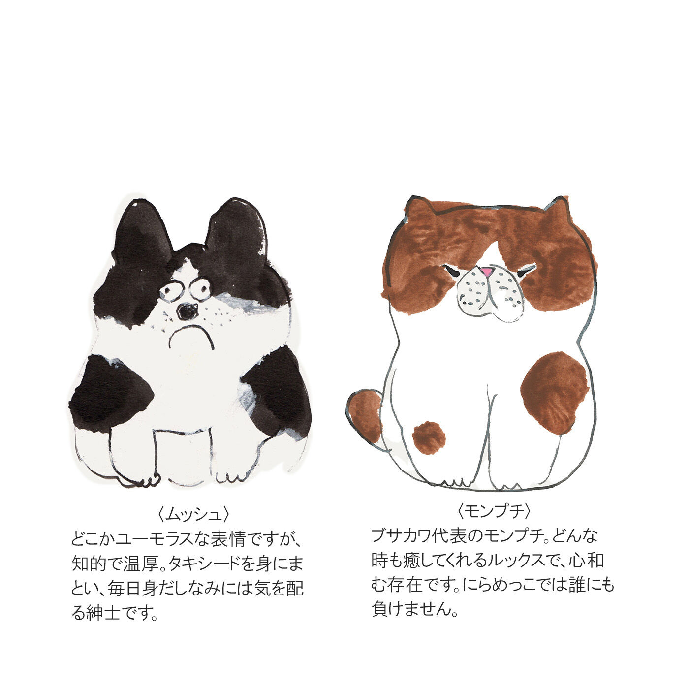 L'AMIPLUS［ラミプリュス］|【7月分以降お届け】幸生窯×ラミプリュス クシュッと持ち手の長さを変えられる わんにゃん刺しゅうの撥水トートバッグの会