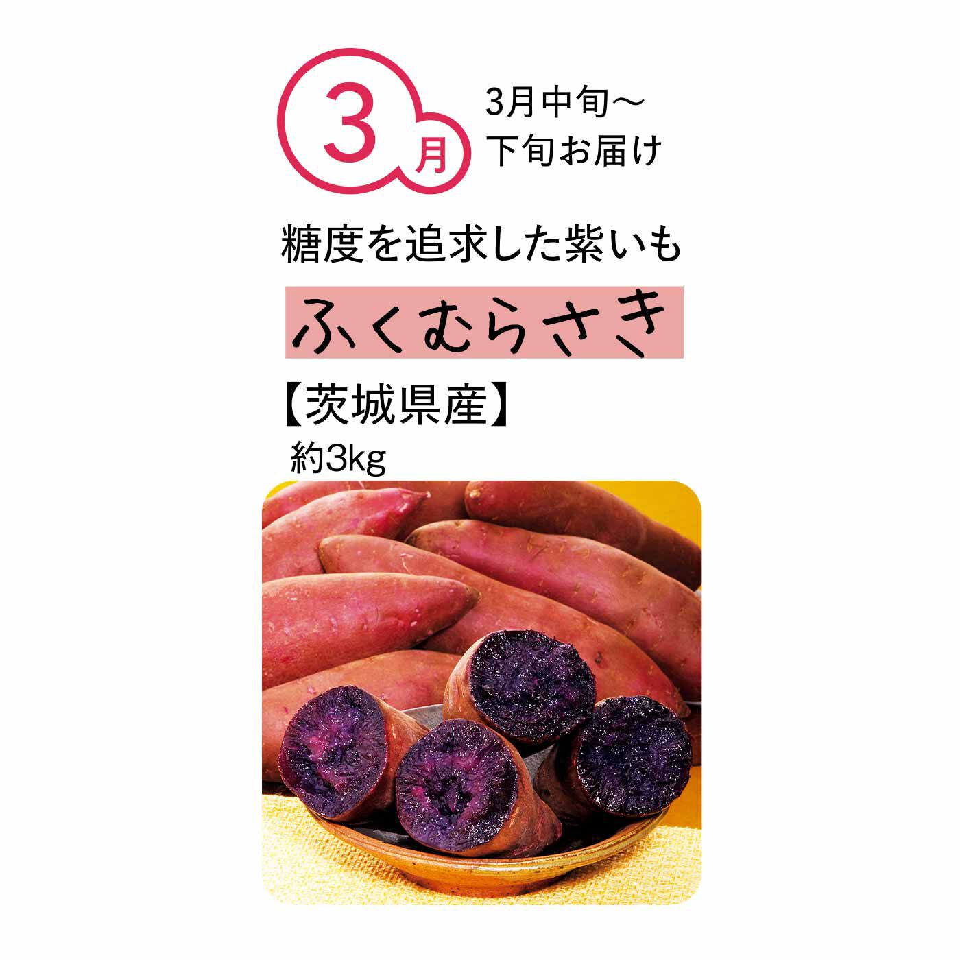 純農の特急便|純農 まるでスイーツみたいな焼き芋を楽しむ！ ごちそうさつまいも たっぷり3kg（7ヵ月コース）|糖度が高く、しっとり肉質で食味もよく、飽きのこない味わい。アントシアニンの濃い紫色〜黒色が、食卓をおしゃれに演出してくれます。紫いもはじめてさんにも試していただきたいおすすめ品種です。