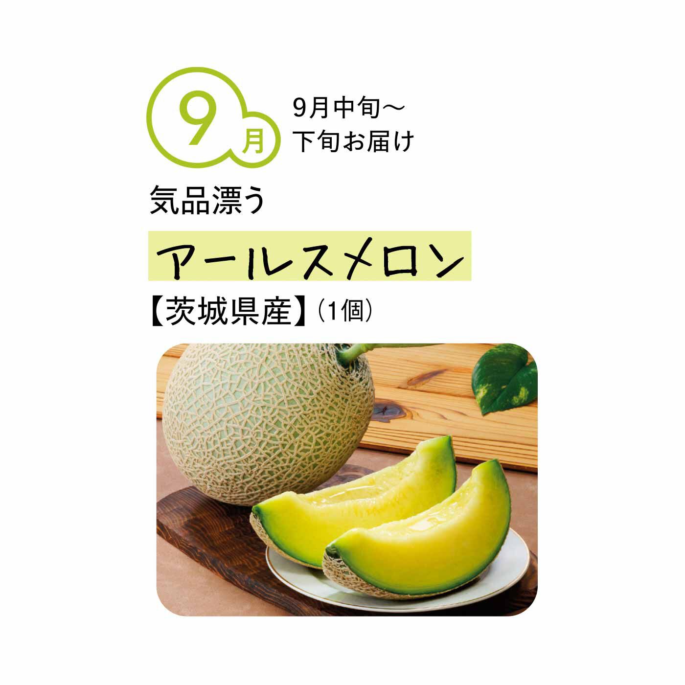 純農の特急便|【締め切り6月9日】純農 おうちでフルーツパーラー気分！ スプーンですくうときめき 選り抜きゼイタクメロン（4ヵ月コース）|高級メロンの代表格。黄緑色の果肉はジューシーでなめらかな口当たり。完熟すると芳醇な香りが漂い、とろける甘さに。果実はほぼ球状で網目は細かく深さがあり、見た目にもすぐれています。