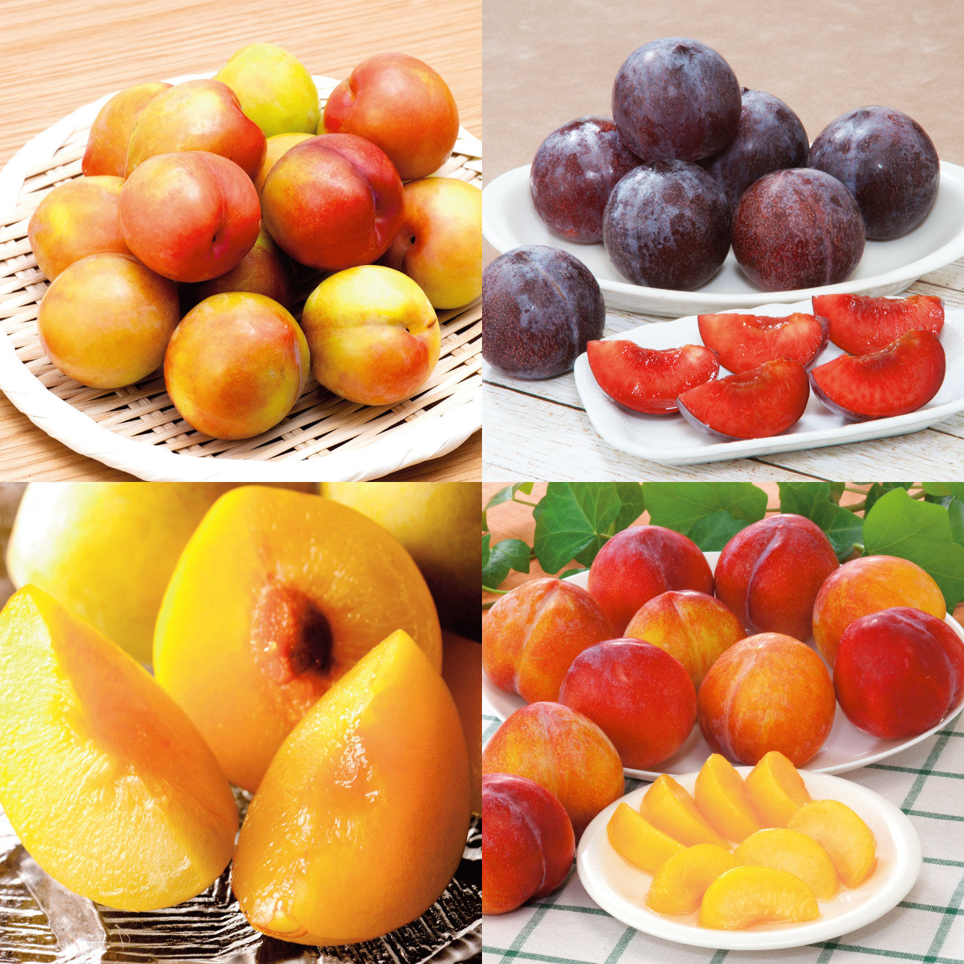 純農の特急便|【締め切り6月9日】純農 夏のカラダに甘酸っぱい贈りもの！ 多品種を味わう ジューシーすもも たっぷり1kg以上（4ヵ月コース）