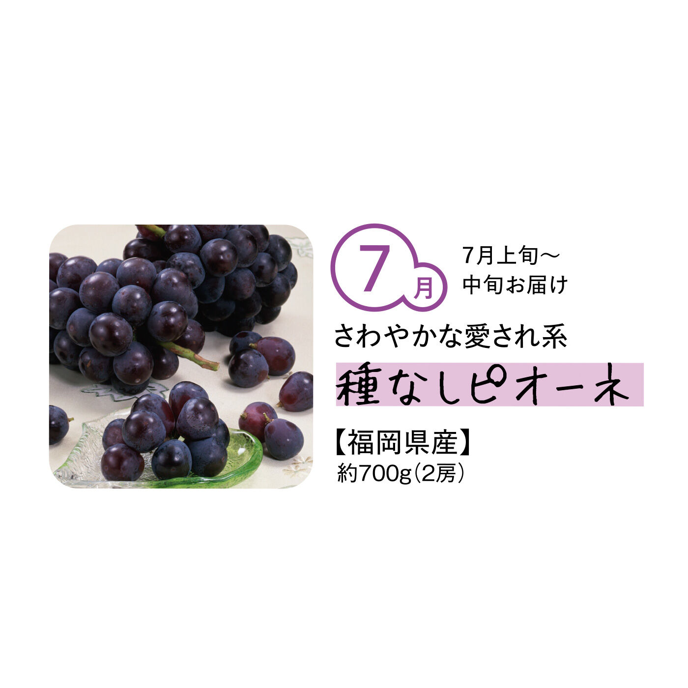 純農の特急便|【締め切り6月9日】純農 定番人気から希少品種まで 気品漂う 粒ぞろいの口福大粒ぶどう〈秀品〉（5ヵ月コース）|大粒で酸味が少ないのが特徴。歯ざわりのよい食感とマスカット由来のさわやかな甘みから、幅広い世代に人気があります。大粒で、ジューシーで、食べごたえがあり、甘やかで豊かな香りが自慢です。