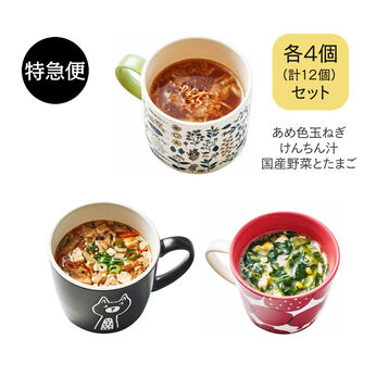 純農の特急便 | スープ＆お吸い物（玉ねぎ・けんちん汁・野菜とたまご) 12食セット