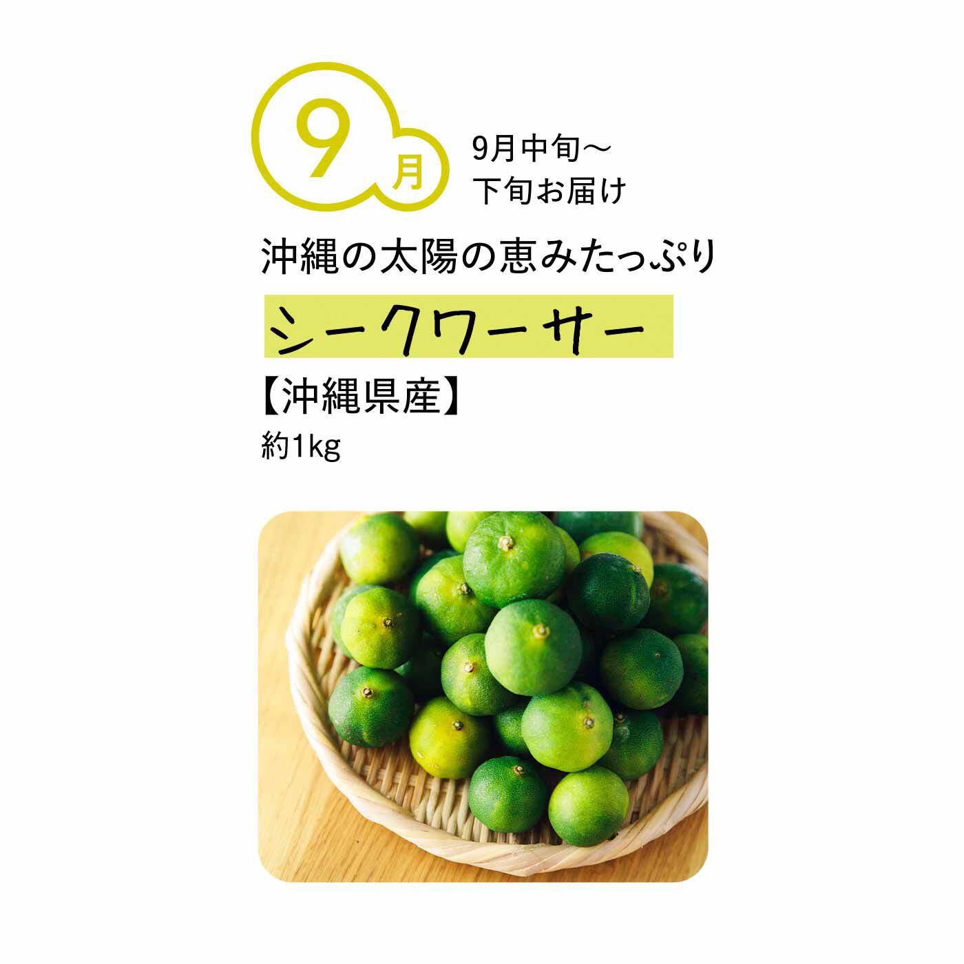 純農の特急便|純農 手料理をぐんと格上げ！ 香りと酸味がたまらない 季節の国産香酸柑橘（5ヵ月コース）|本州ではなかなかお目にかかれない、貴重な沖縄のご当地柑橘。生しぼりサワー、焼肉や焼き魚の薬味、お刺身にも。果汁をしぼって、太陽の恵みたっぷりのドレッシングにするのもおすすめです。