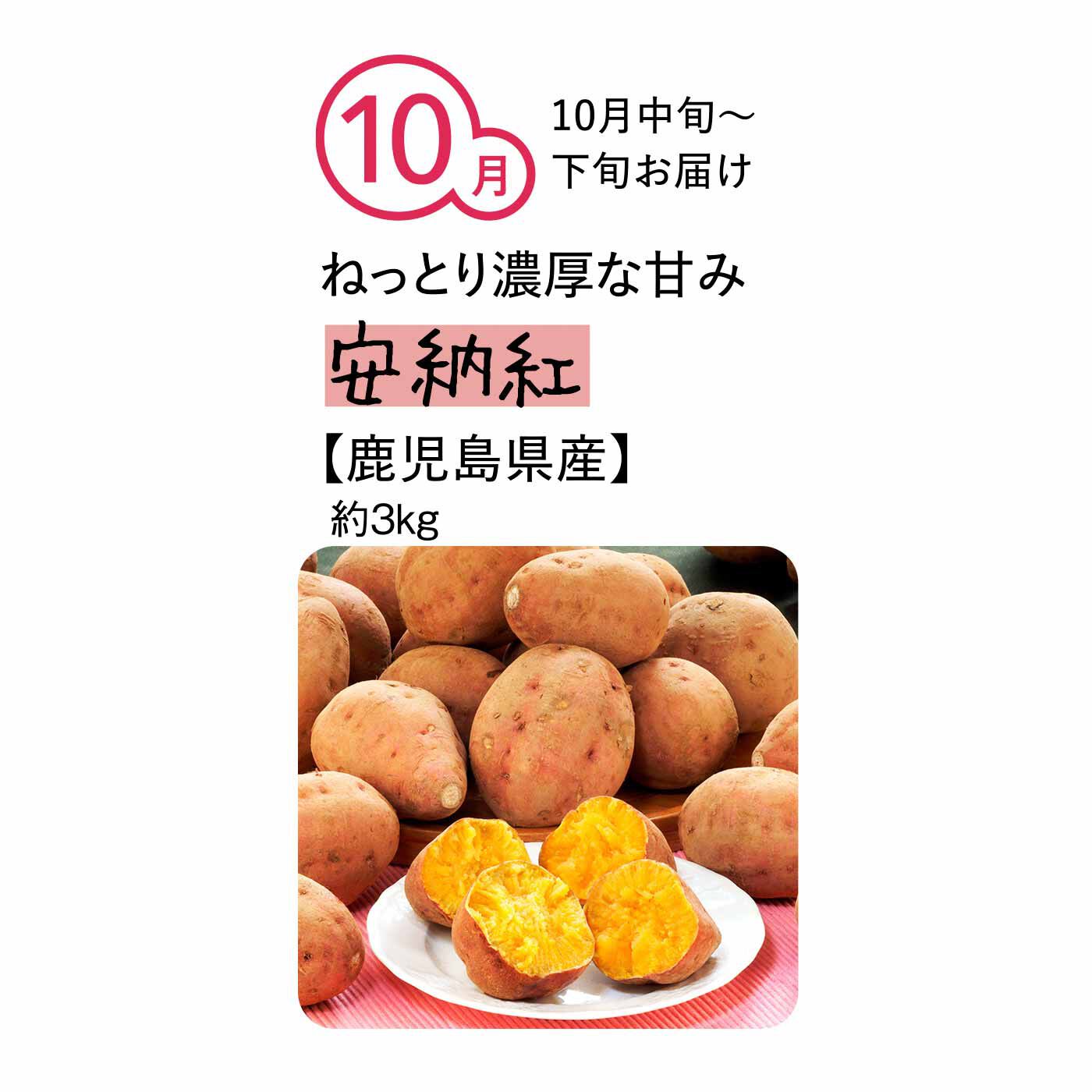 純農の特急便|純農 まるでスイーツみたいな焼き芋を楽しむ！ ごちそうさつまいも たっぷり3kg（7ヵ月コース）|種子島に古くから伝わる、さつまいもの原種に近い安納紅。糖度が非常に高く、濃厚な「甘み」、ねっとりとした独特の食感が特徴。思わず夢中になるおいしさです。