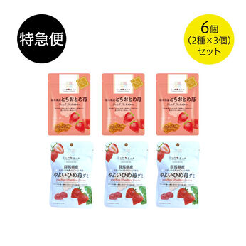純農の特急便 | ごほうびストロベリースイーツ（とちおとめ苺ドライフルーツ・やよい姫苺グミ）