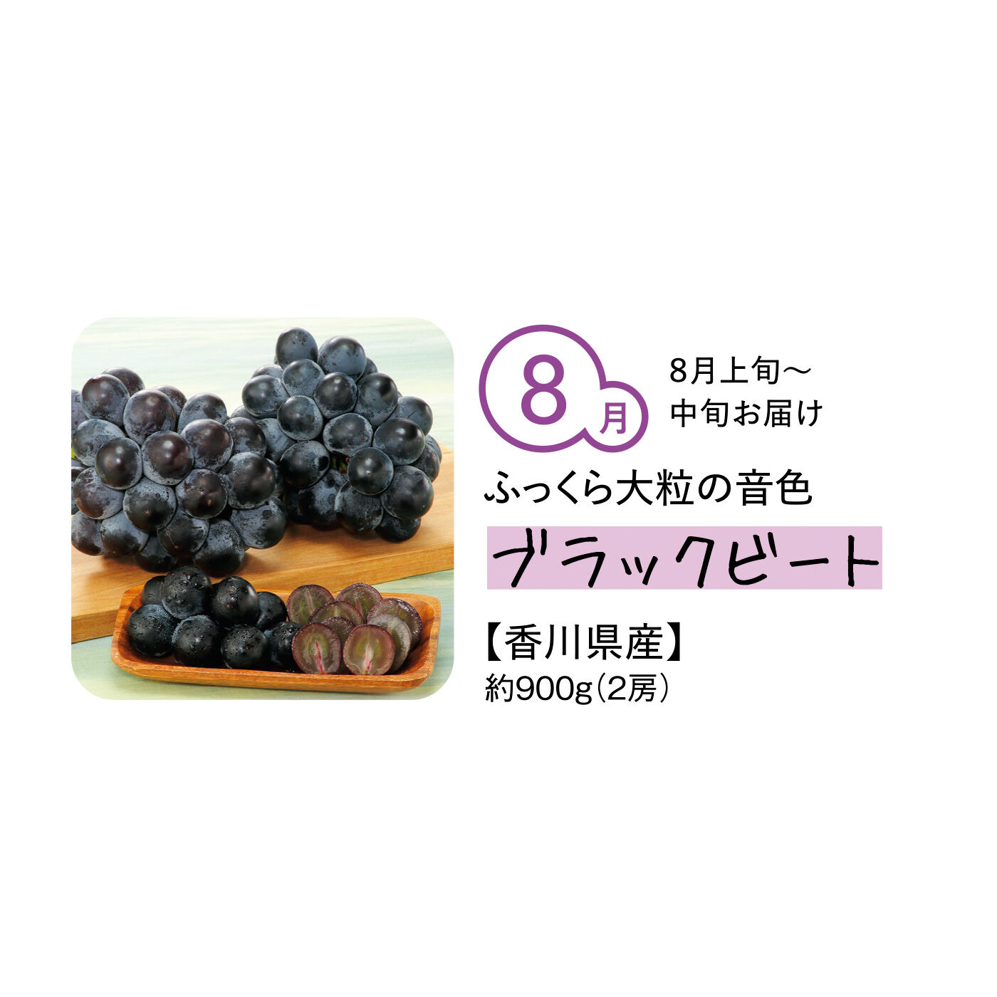 純農の特急便|【締め切り6月9日】純農 定番人気から希少品種まで 気品漂う 粒ぞろいの口福大粒ぶどう〈秀品〉（5ヵ月コース）|「藤稔」と「ピオーネ」の交配品種。皮の色は黒に近い紫色が特徴。果肉は甘さと酸味が絶妙なバランスで、後味もすっきり。しっかりと弾力がある食感で、ジューシーで濃厚な味わいが口の中に広がります。