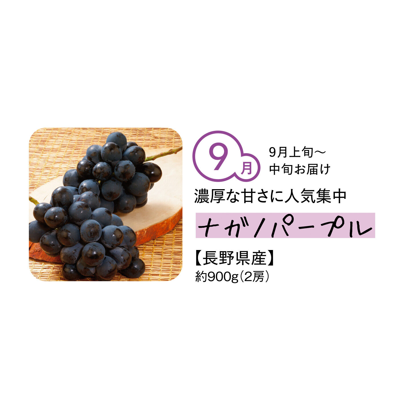 純農の特急便|【締め切り6月9日】純農 定番人気から希少品種まで 気品漂う 粒ぞろいの口福大粒ぶどう〈秀品〉（5ヵ月コース）|栽培に高い技術が求められる品種。「巨峰」と「リザマート」の交配品種で、大粒で艶やかな紫黒が美しい。酸味は少なく、巨峰のような濃厚な甘さとすっきりとした後味が魅力です。