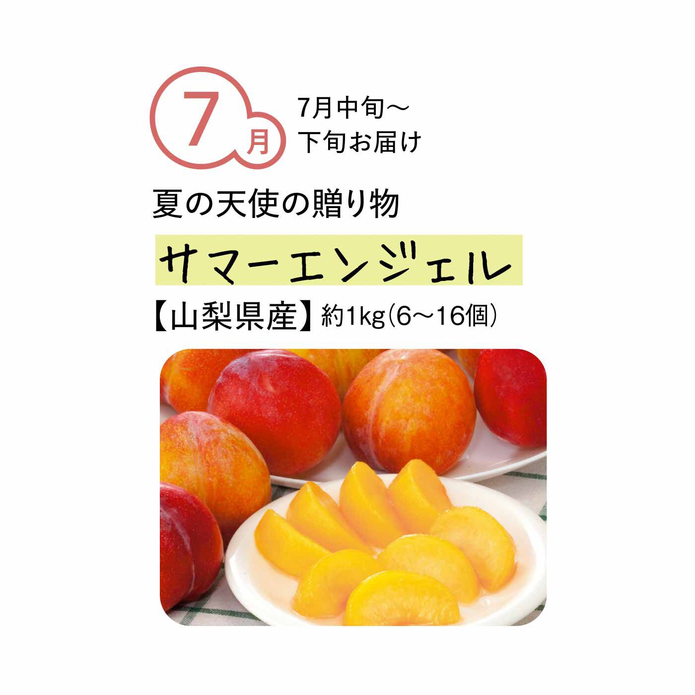 純農の特急便|【締め切り6月9日】純農 夏のカラダに甘酸っぱい贈りもの！ 多品種を味わう ジューシーすもも たっぷり1kg以上（4ヵ月コース）|まるで天使の羽のようなやわらかな果皮が特徴。その繊細さから遠方に出まわることが少ない希少品種。酸味と甘みのバランスのよい果汁がたっぷりと詰まっています。味が濃く、生で食べるのがおすすめ。