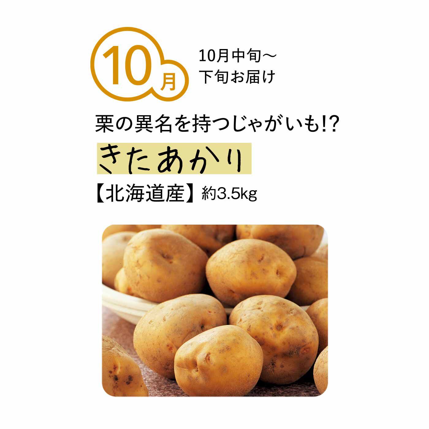 純農の特急便|純農 北海道を食べ比べ！ ほくほくもねっとりも楽しめる ごちそうじゃがいも たっぷり3kg（6ヵ月コース）|果肉はやや黄色く、肉質は粉質で、加熱調理するとほくほくした食感が味わえます。また、甘味の強さも特徴。「栗じゃがいも」などとも呼ばれる人気者。加熱調理するとほくほくするタイプで、甘く香りもいいので、シンプルにジャガバターやポテトフライでおいしさが際立ちます！