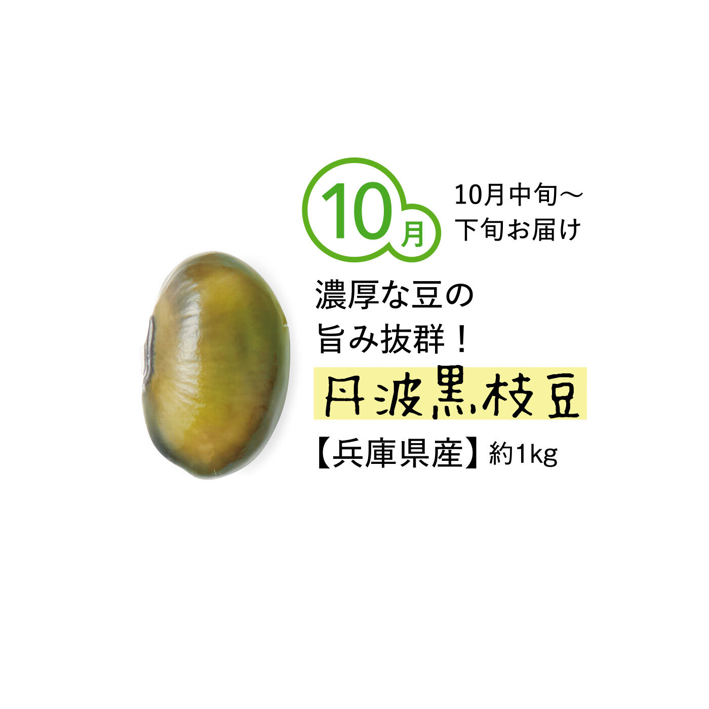 純農の特急便|【締め切り6月9日】純農 ビールの時間がもっとしあわせになる！ 季節のごちそう枝豆 たっぷり1kg（5ヵ月コース）|お正月の煮豆などとして使われる高級な黒豆を、若いサヤの時期に収穫。流通する期間が短く、入手が困難な人気の枝豆。黒みがかった大粒タイプで、やわらかな食感。豆の旨みをしっかり感じられます。
