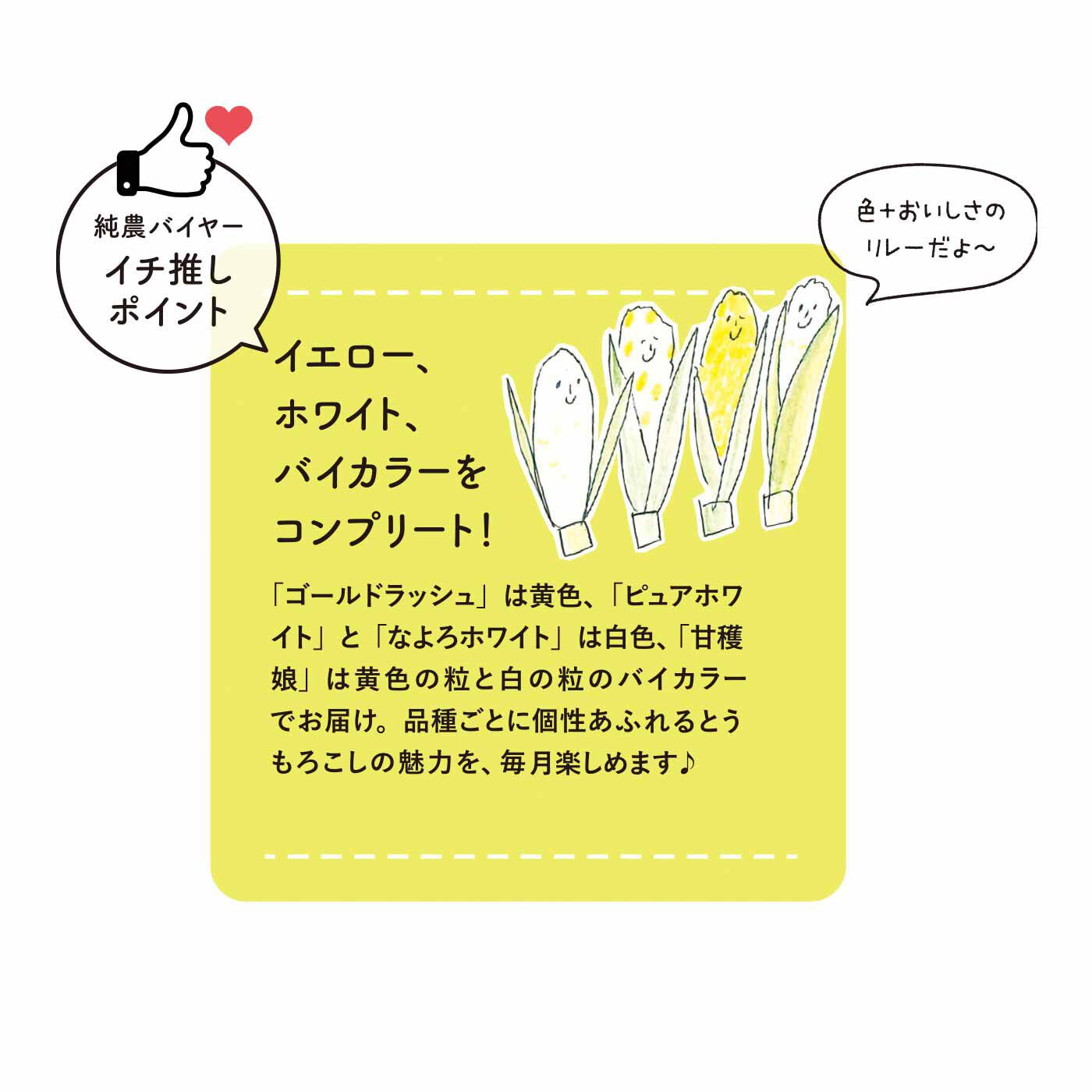 純農の特急便|【締め切り6月9日】純農 甘味と旨みが押し寄せる！ 毎年大人気のとうもろこし たっぷり3kg（4ヵ月コース）