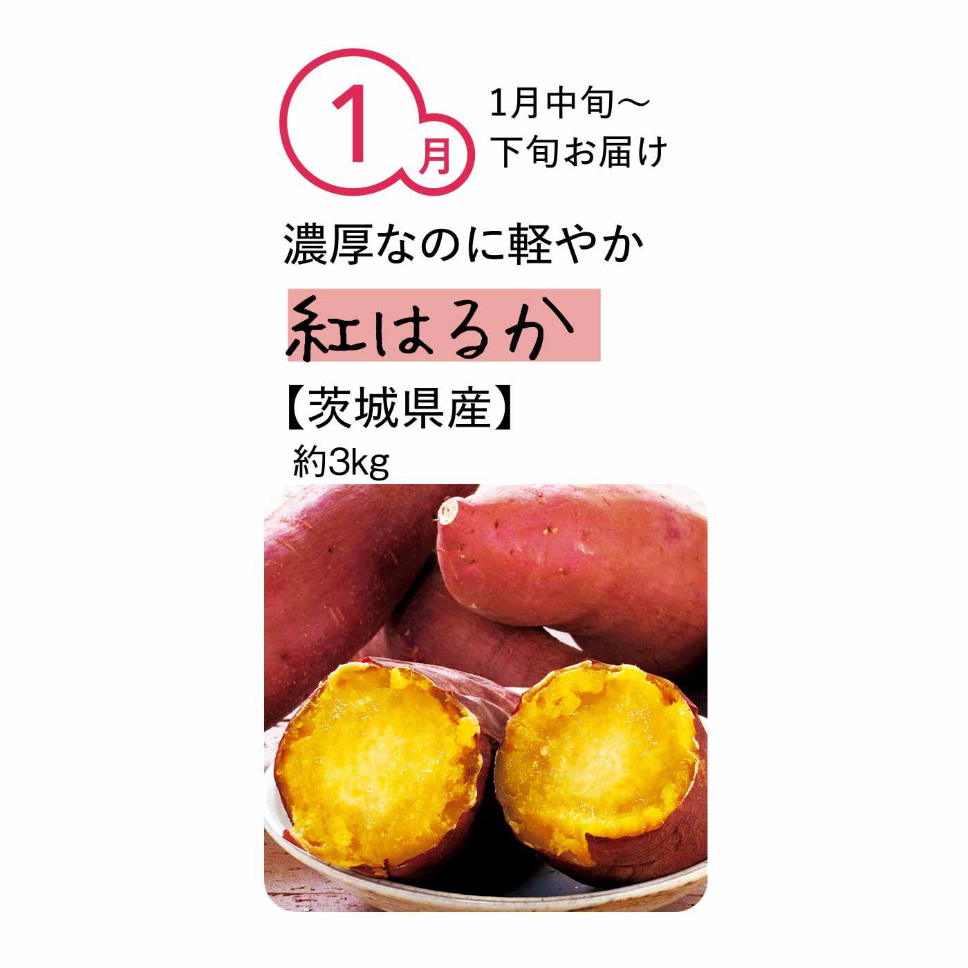 純農の特急便|純農 まるでスイーツみたいな焼き芋を楽しむ！ ごちそうさつまいも たっぷり3kg（7ヵ月コース）|豊かな香りとしっとりとした舌ざわりで、濃厚な甘味とすっきりした後口を感じさせてくれます。果肉の色は黄白色で、火を入れるとまるで蜜が入ったような、やわらかいねっとり食感が特徴です。