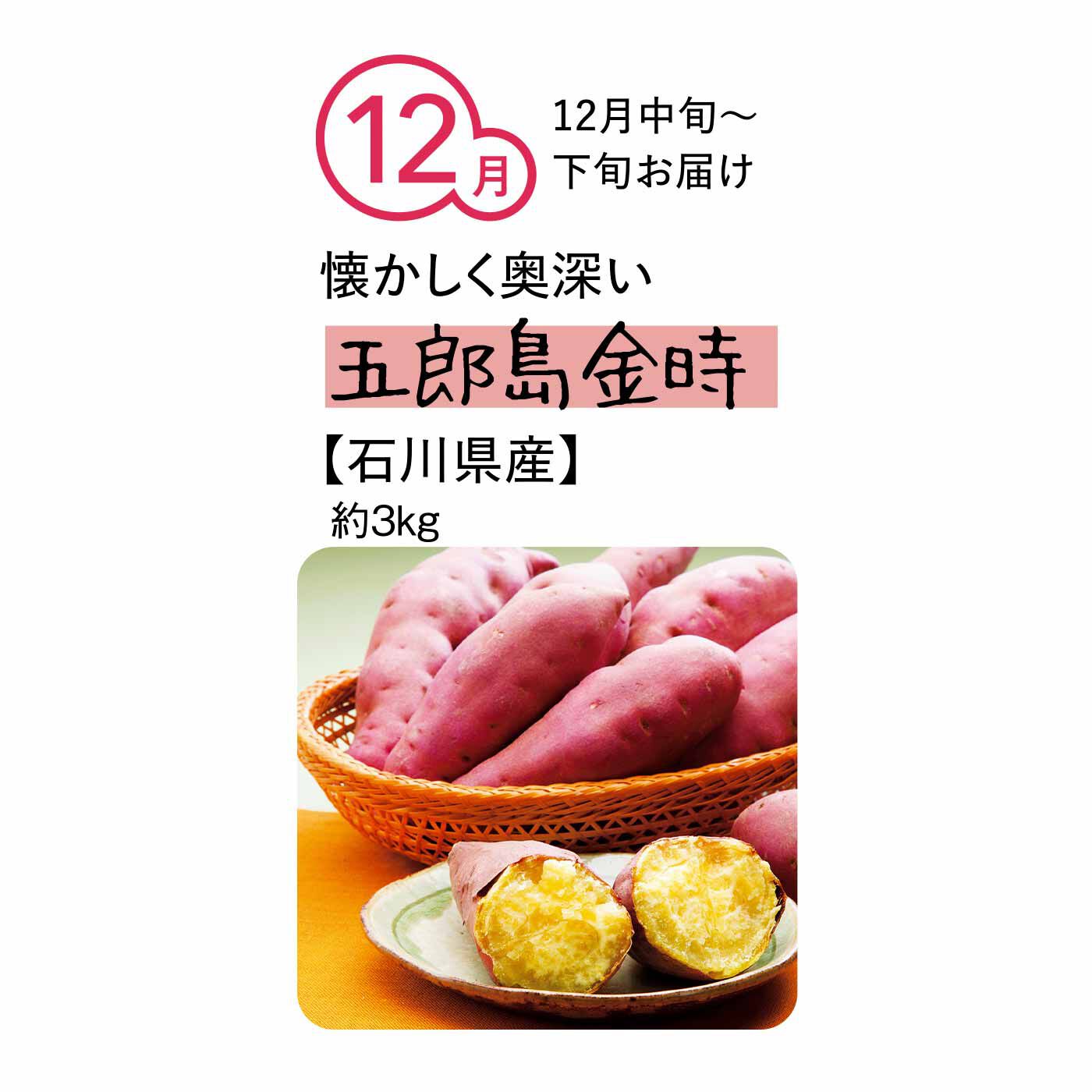 純農の特急便|純農 まるでスイーツみたいな焼き芋を楽しむ！ ごちそうさつまいも たっぷり3kg（7ヵ月コース）|加賀野菜のひとつとしても愛される品種。石川県では「コボコボ」と呼ばれる、独特のほくほく感が特徴です。奥深い甘さときめ細やかな粉質、どこか懐かしい風味を楽しんで。