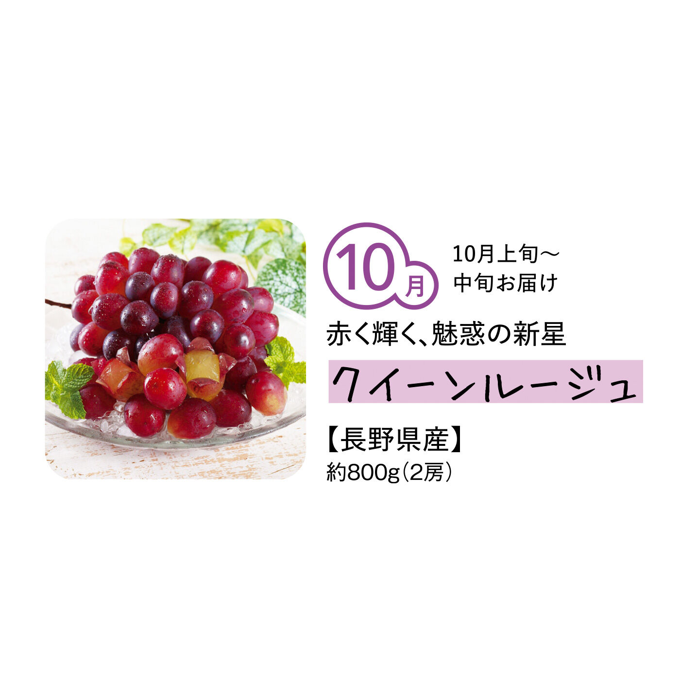 純農の特急便|【締め切り6月9日】純農 定番人気から希少品種まで 気品漂う 粒ぞろいの口福大粒ぶどう〈秀品〉（5ヵ月コース）|長野県のみで栽培され、生産量が少なく希少な「クイーンルージュ」は、種なしで皮ごと食べられます。パリッとした食感と、追いかけてくるさわやかなマスカット香にうっとり。はじめてのおいしさに夢中になりそう。