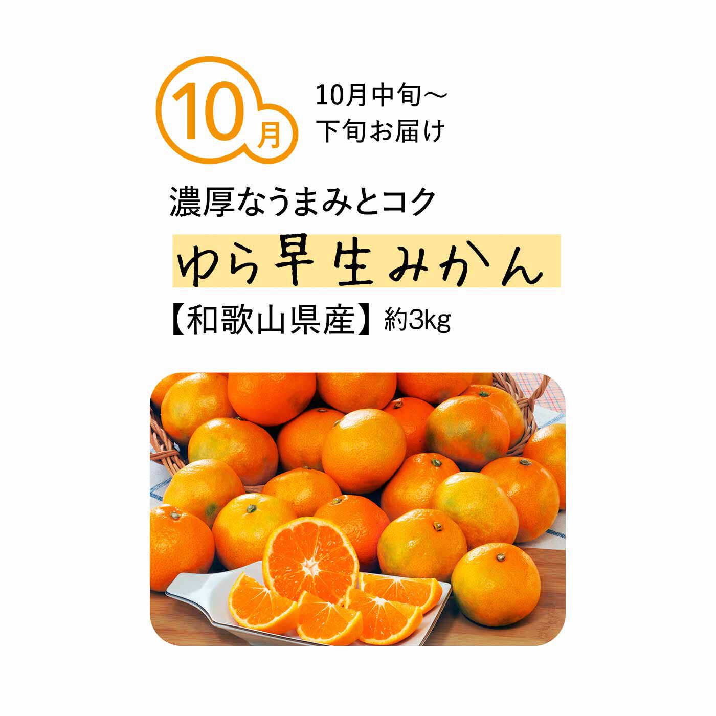 純農の特急便|純農 極早生から越冬まで 季節を味わうゼイタク！ 「糖度選別」県産ブランドみかん（5ヵ月コース）|うす皮も薄く極早生みかん特有のさわやかな酸味もありながら、コクがあり甘酸っぱく濃厚な味わい。味のバランスが取れたみかんです。