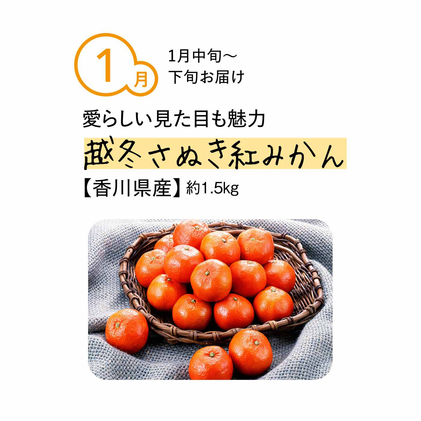 純農の特急便|純農 極早生から越冬まで 季節を味わうゼイタク！ 「糖度選別」県産ブランドみかん（5ヵ月コース）|香川県のさぬき紅みかんは、紅色が濃く糖度が高いのが特徴。「金時みかん」とも呼ばれ、通常の温州みかんでは味わえないうまみとコクを持っています。